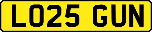 LO25GUN