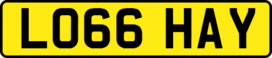 LO66HAY