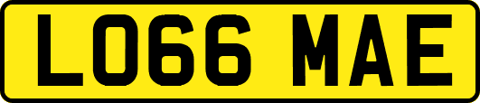 LO66MAE