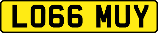 LO66MUY
