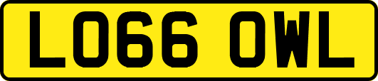 LO66OWL