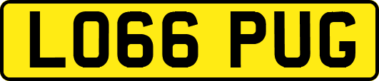 LO66PUG