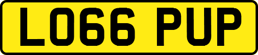 LO66PUP