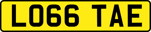 LO66TAE