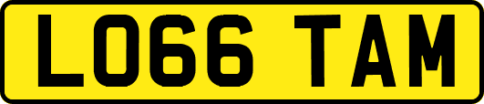 LO66TAM