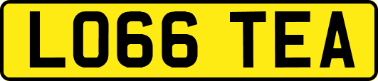 LO66TEA