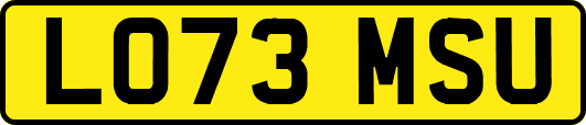 LO73MSU