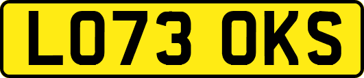 LO73OKS