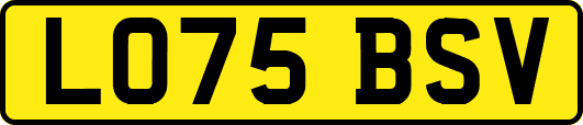 LO75BSV