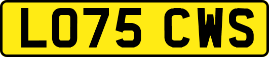 LO75CWS