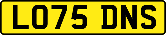 LO75DNS