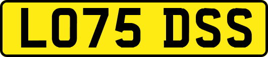 LO75DSS