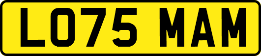 LO75MAM