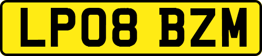 LP08BZM
