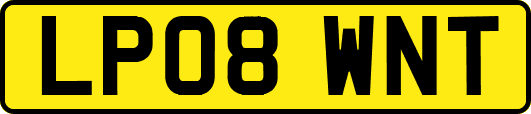 LP08WNT