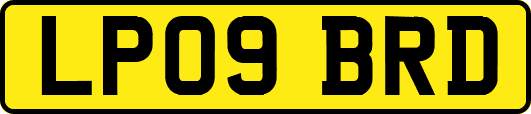 LP09BRD