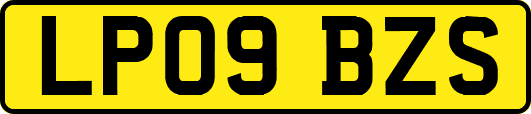 LP09BZS