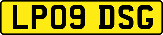 LP09DSG