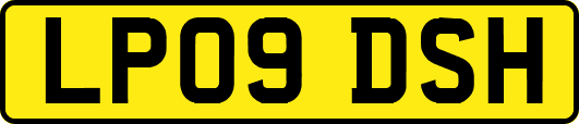 LP09DSH