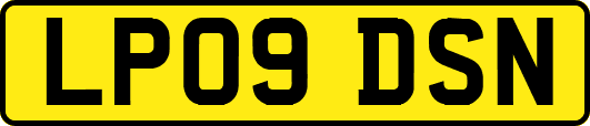 LP09DSN