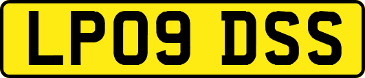 LP09DSS