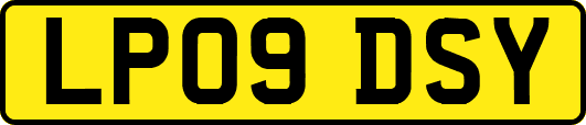 LP09DSY