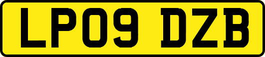 LP09DZB