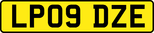 LP09DZE