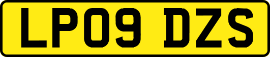 LP09DZS