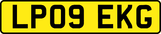 LP09EKG