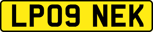 LP09NEK