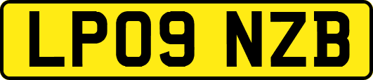 LP09NZB