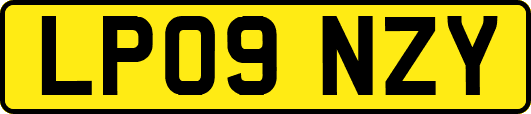 LP09NZY