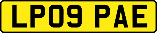 LP09PAE
