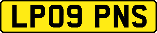 LP09PNS