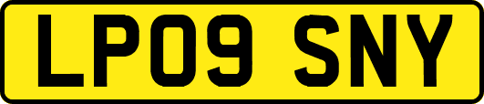 LP09SNY