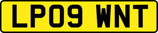 LP09WNT