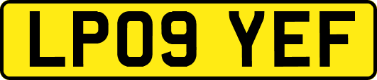 LP09YEF