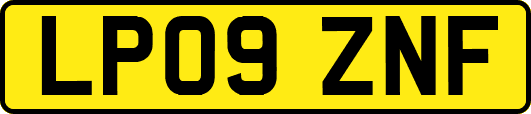 LP09ZNF