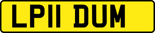 LP11DUM