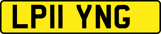 LP11YNG