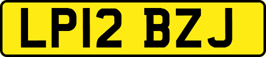 LP12BZJ