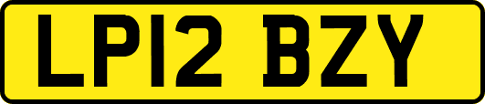 LP12BZY