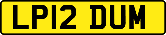 LP12DUM