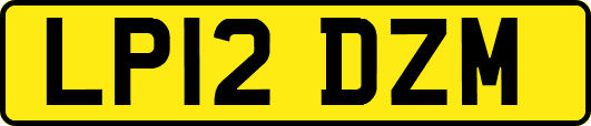 LP12DZM