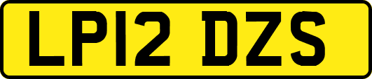 LP12DZS