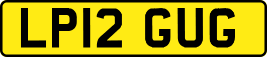 LP12GUG