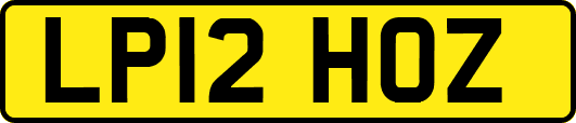 LP12HOZ