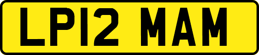 LP12MAM