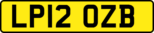 LP12OZB